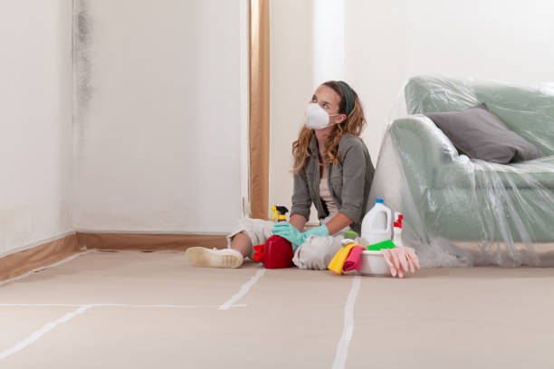 Reliable Crawl Space Mold Removal contractor in Port Orchard, WA by WQB Mold Removal